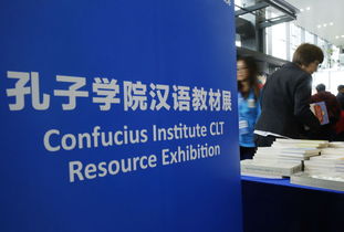 海外华人渴求中国文化教育，华文教育网络亟待完善